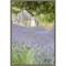 Lavender field and small shed by Janell Davidson Danita Delimont 16-in. W x 23-in. H. Canvas Wall Art Print Framed in Grey